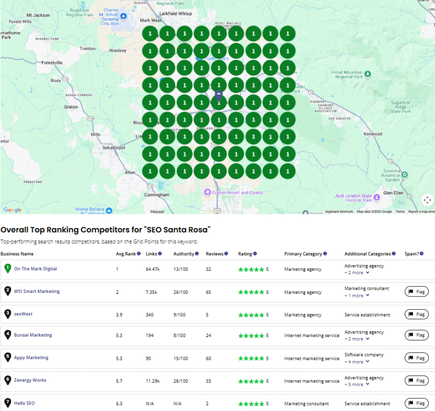 SEO Company Grid Rank Report 1