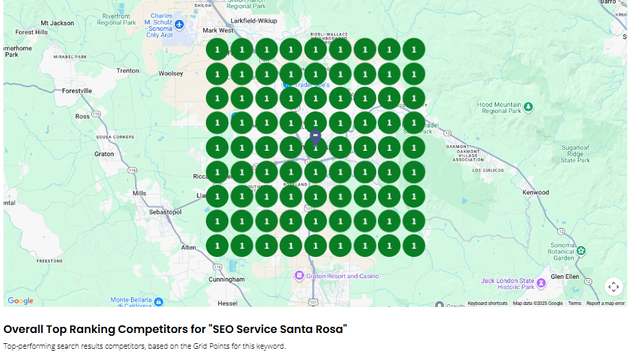 SEO Company Grid Rank Report 3